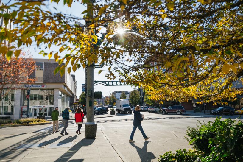 Preview photo for Everett Link Extension.