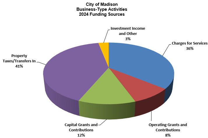 Business Type Activities   2024 Funding Sources