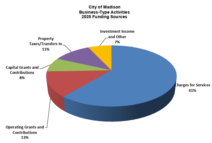 Business-Type Activities 2025 Funding Sources