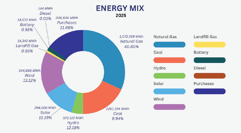 Energy mix snapshot