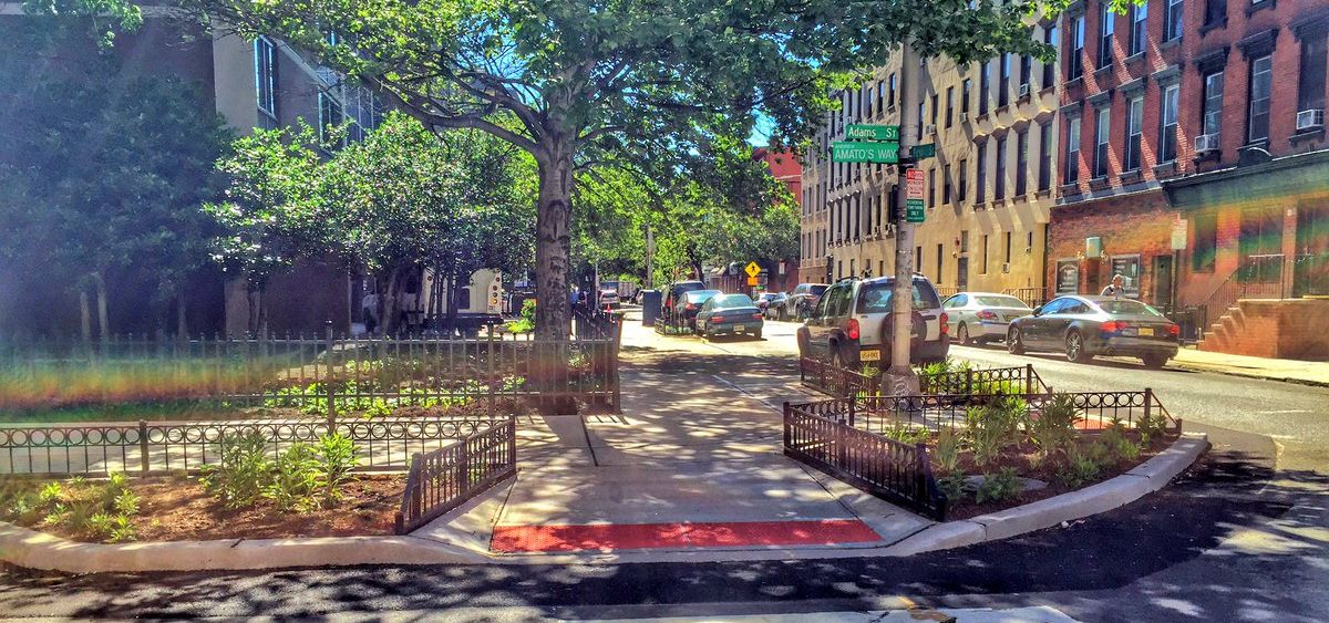 Hoboken Rain Garden and Bump-out