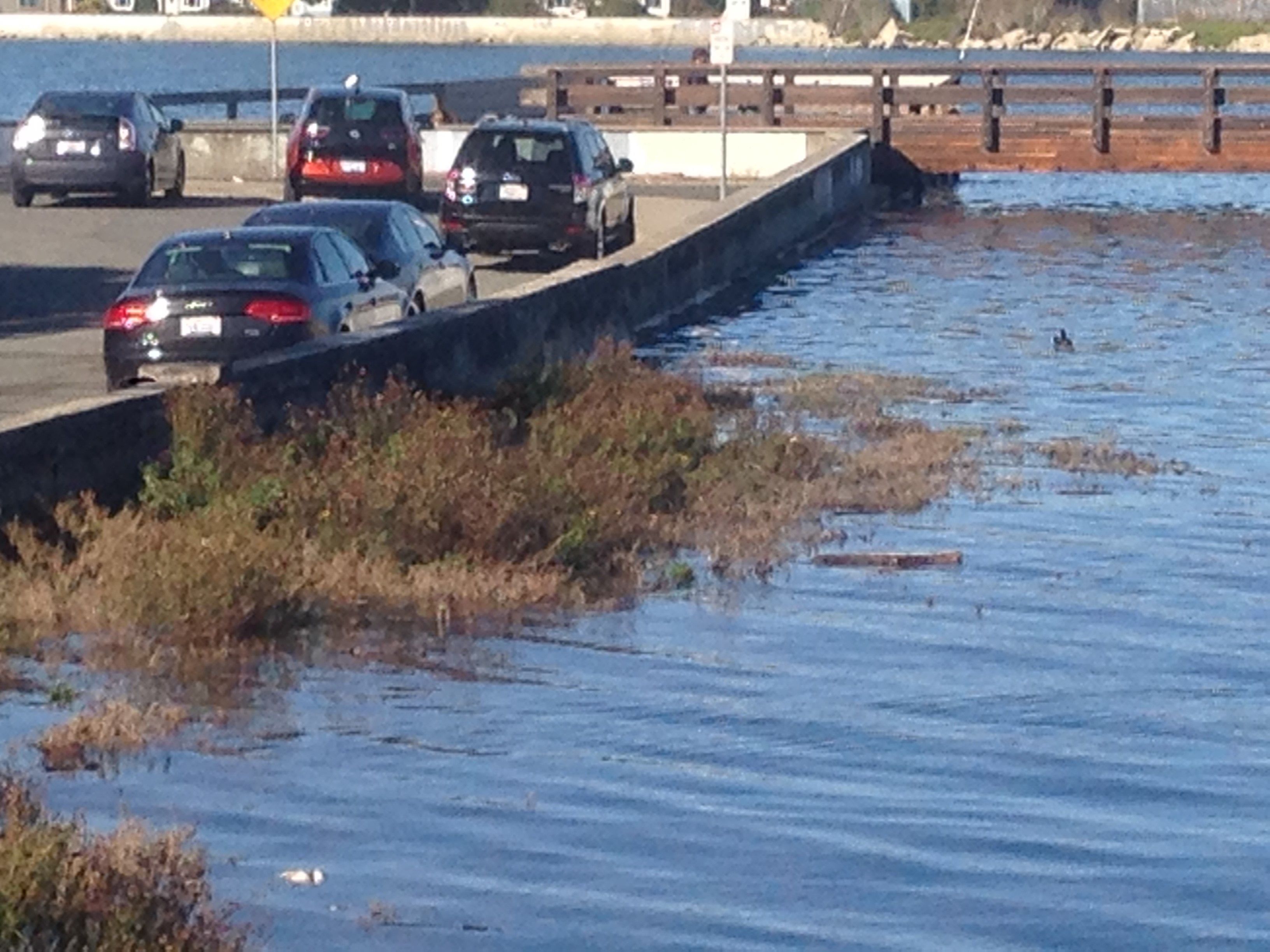 Preview photo for Bay Farm Island Flood Protection and Coastal Resilience Project.